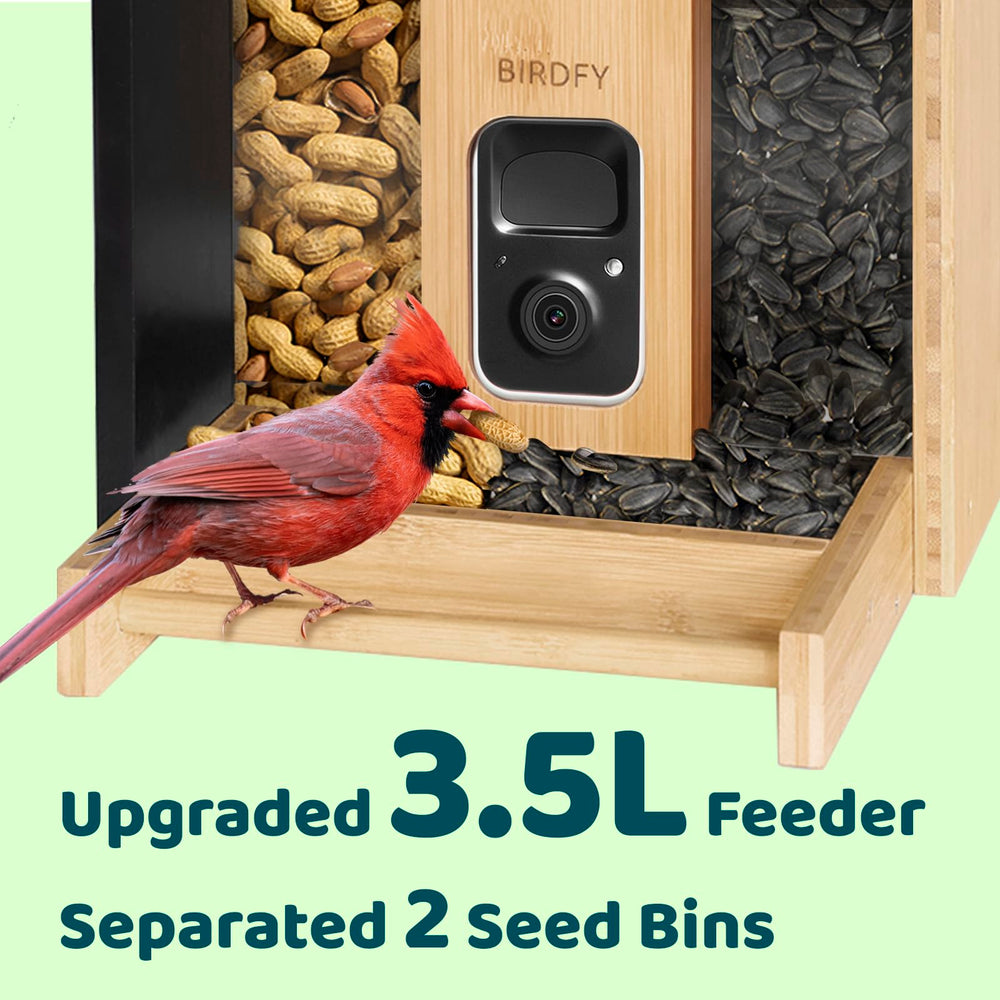 NETVUE Birdfy birds feeding in use demonstrating multiple visitors and lively backyard scenes