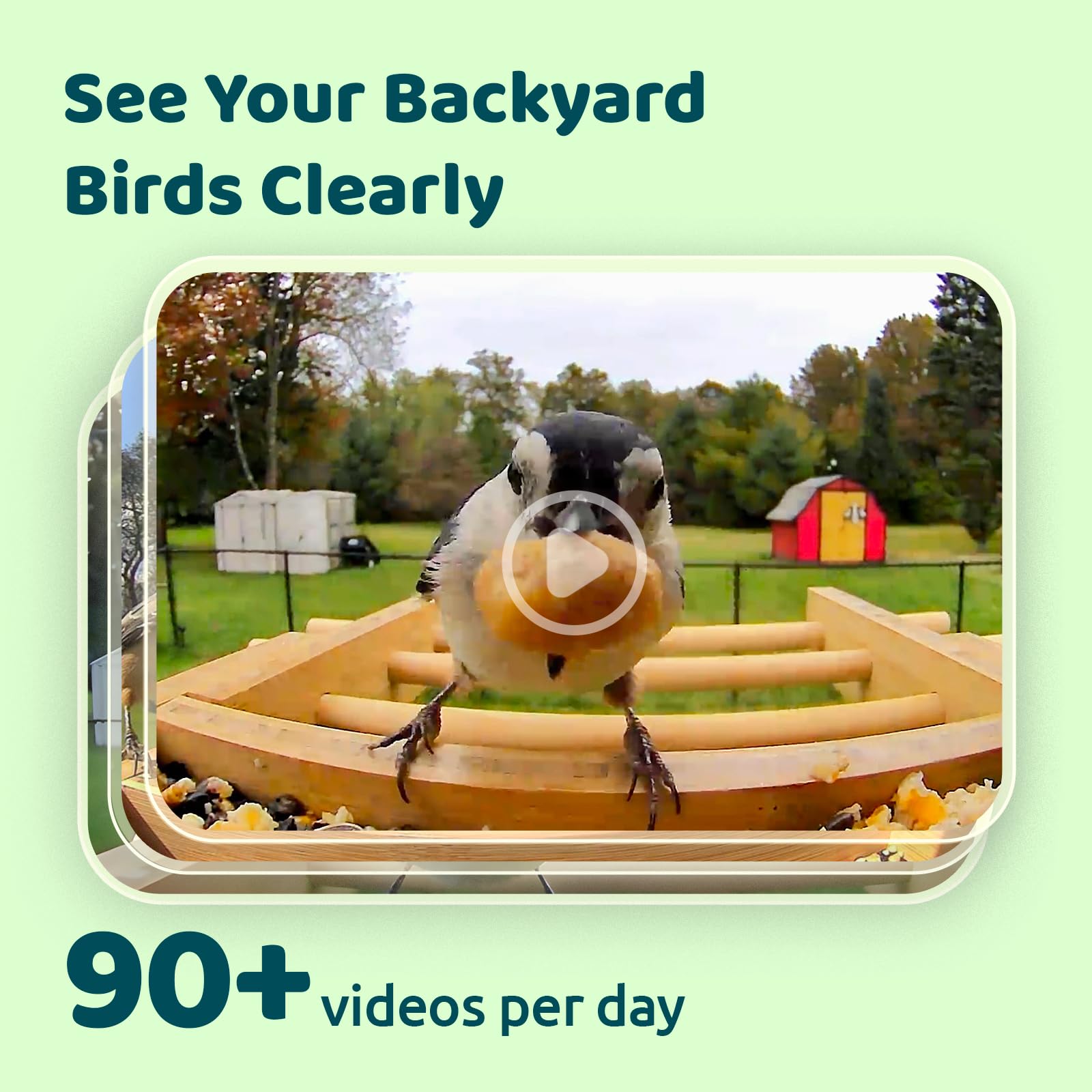 NETVUE Birdfy scale comparison with hand showing feeder size and practical footprint