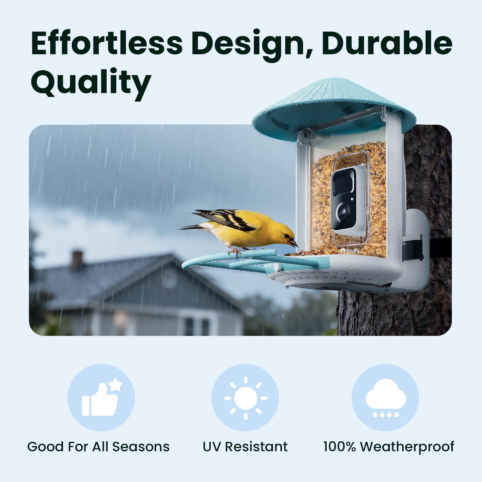 NETVUE by Birdfy feeder in use with bird on perch capturing natural behavior