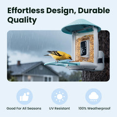 NETVUE by Birdfy feeder in use with bird on perch capturing natural behavior