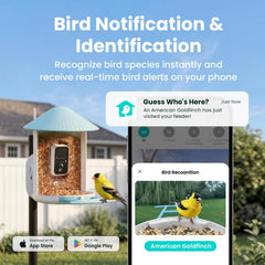 NETVUE by Birdfy camera close-up highlighting lens clarity and detailed capture