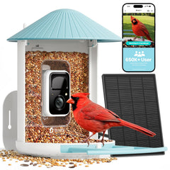 NETVUE by Birdfy front view showing feeder design and clear 2K camera benefit