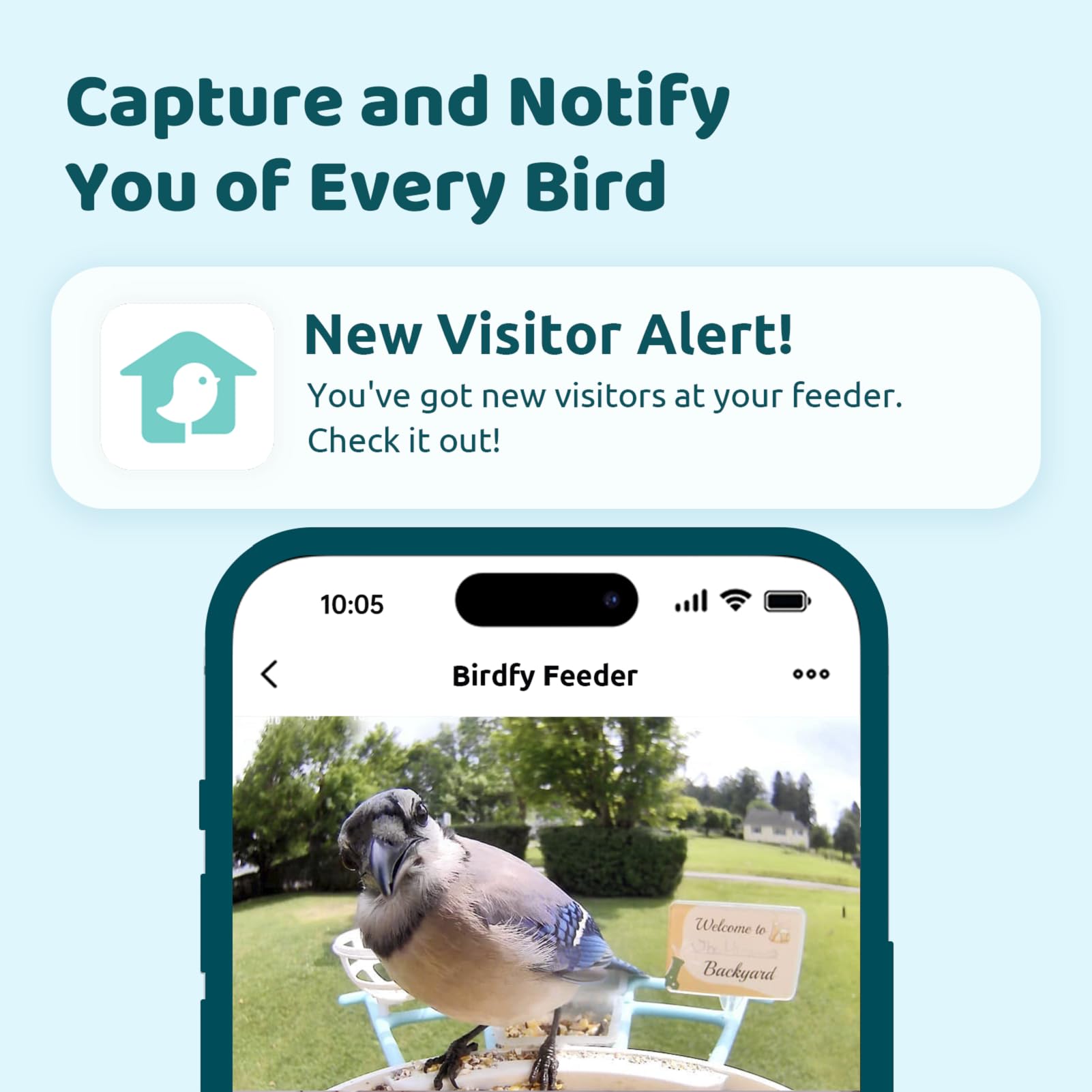 NETVUE Birdfy feeder with roof open for easy refilling and quick cleaning convenience