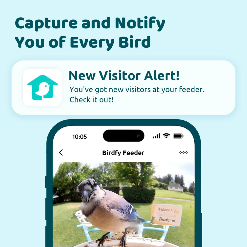 NETVUE Birdfy feeder with roof open for easy refilling and quick cleaning convenience