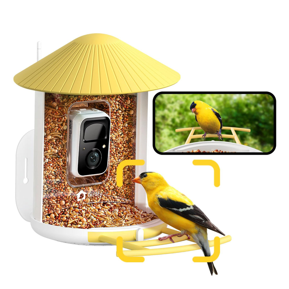 NETVUE front view showing feeder and camera, clear outdoor monitoring benefit