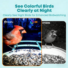 NETVUE by Birdfy night vision view capturing color detail for low-light identification