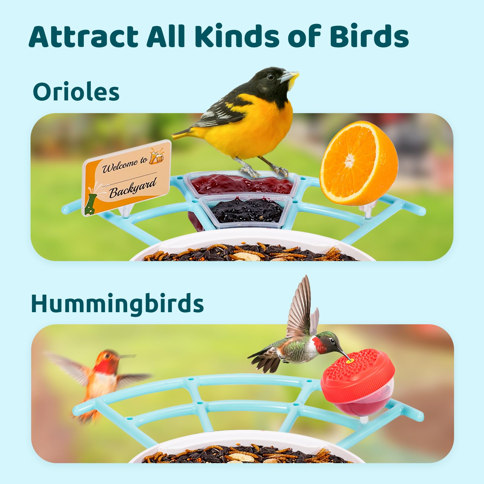NETVUE Birdfy Pro with hummingbird feeder add-on attracting nectar-feeding birds
