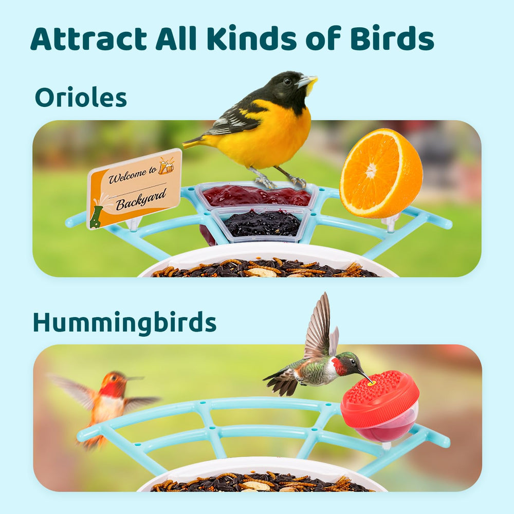 NETVUE Birdfy Pro with hummingbird feeder add-on attracting nectar-feeding birds