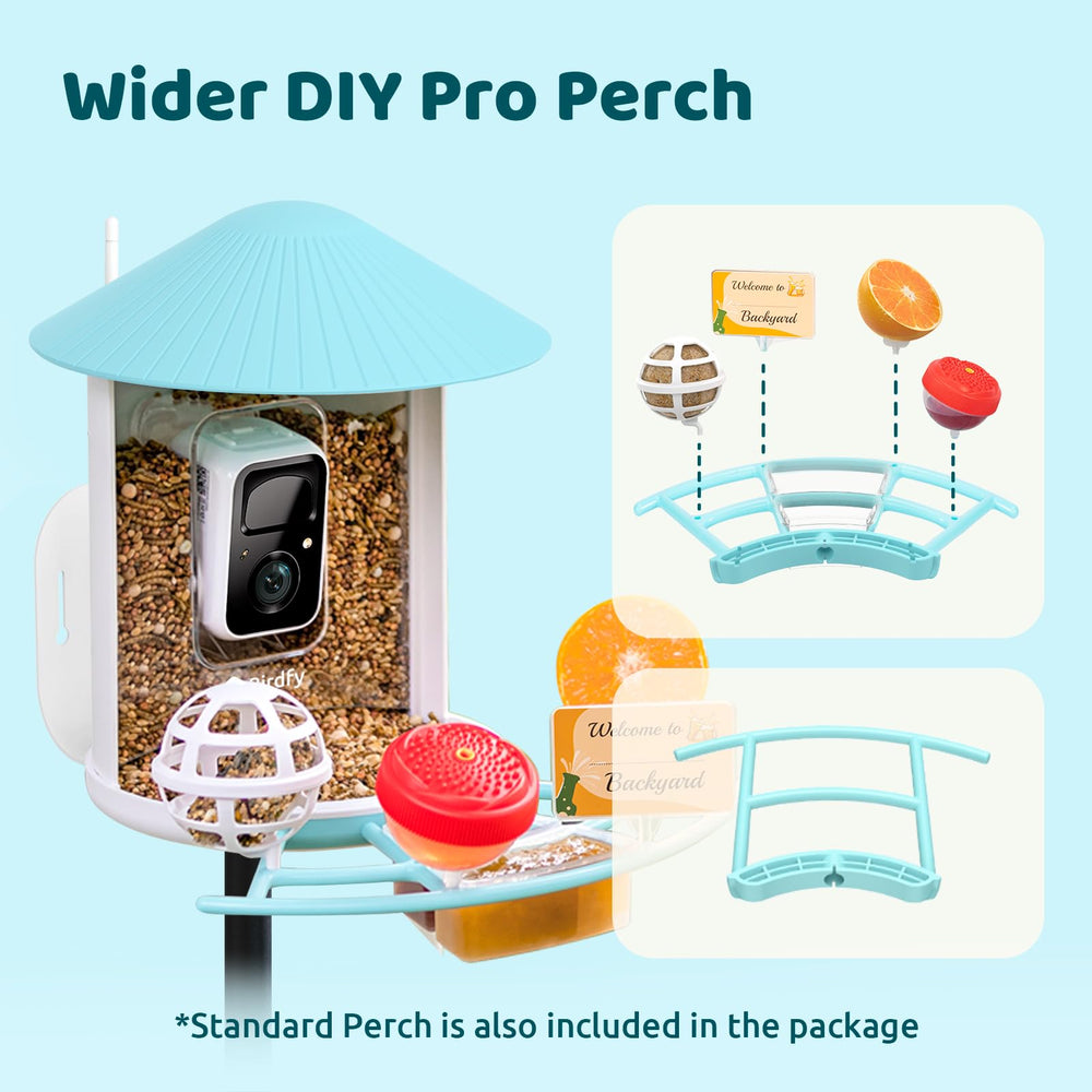 NETVUE Birdfy Pro holding a suet ball in winter showing high-energy food for birds