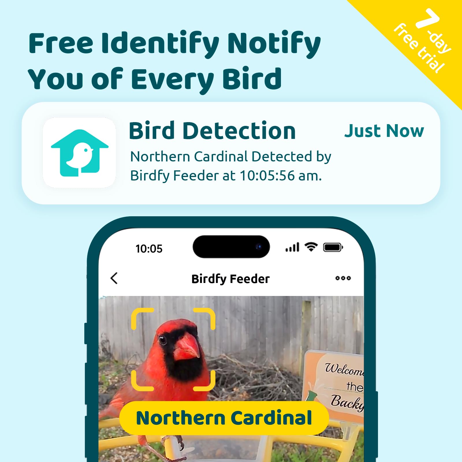 NETVUE Birdfy Pro wider perch detail showing DIY add-on space for attracting species