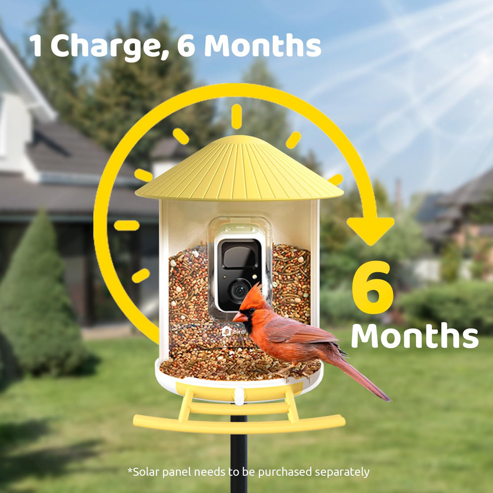 NETVUE squirrel deterrent demo with lights and speaker preventing pests