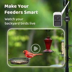 NETVUE close-up of 8x camera lens detail for sharper bird photos benefit