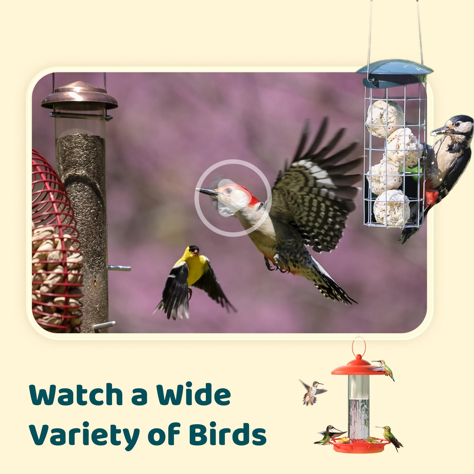 NETVUE live view on smartphone displaying instant alerts and easy remote monitoring benefit