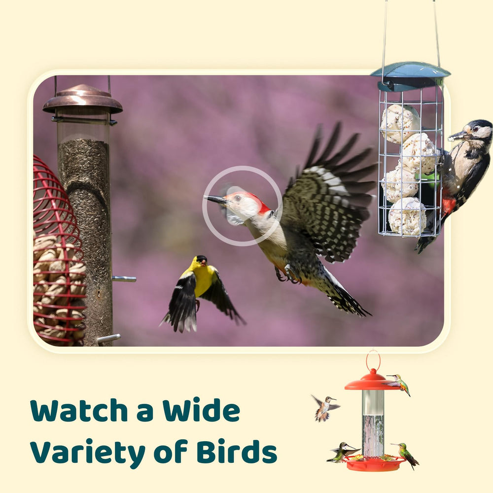 NETVUE live view on smartphone displaying instant alerts and easy remote monitoring benefit
