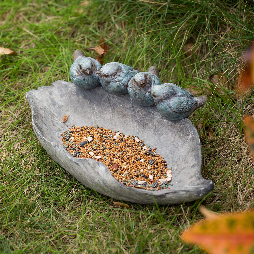 Newman House Studio top-down showing shallow basin and rim texture, easy bird access