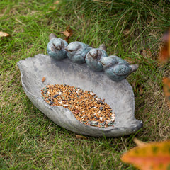 Newman House Studio top-down showing shallow basin and rim texture, easy bird access