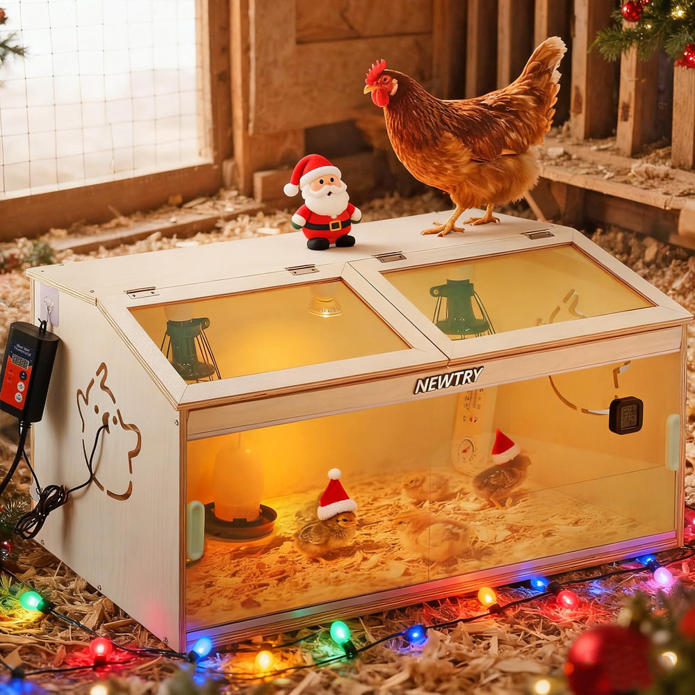 NEWTRY brooder box front view showing clear walls and compact footprint for monitoring