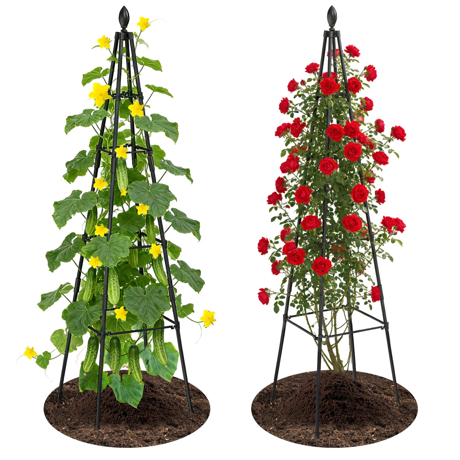 Nexum trellis front view showing two obelisk towers and tidy appearance