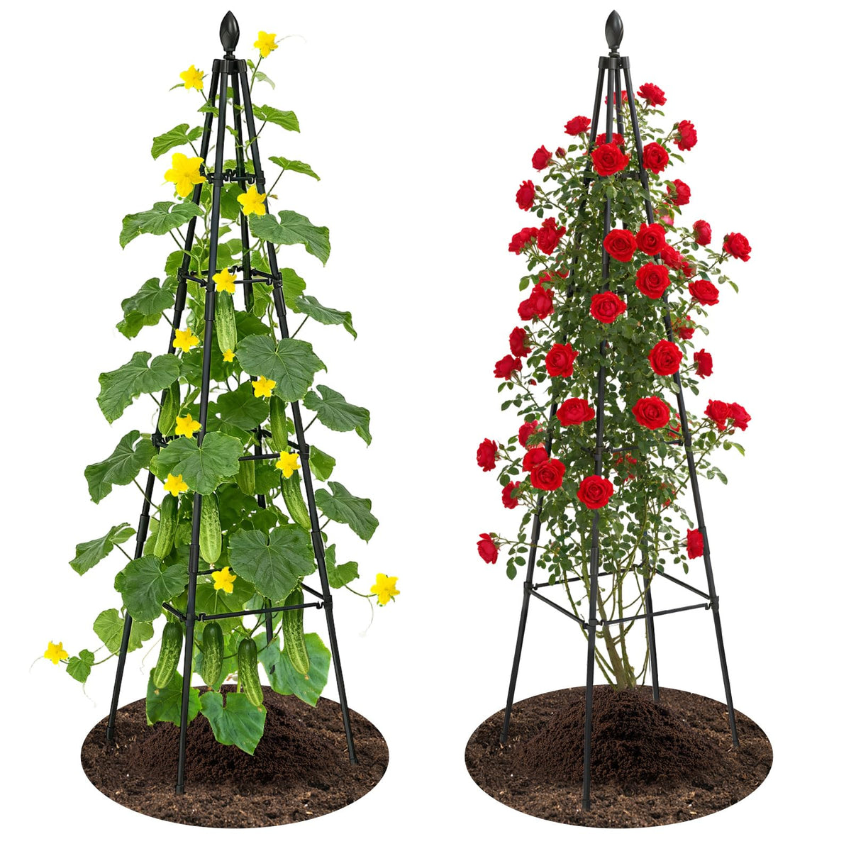 Nexum trellis front view showing two obelisk towers and tidy appearance