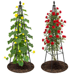 Nexum trellis front view showing two obelisk towers and tidy appearance