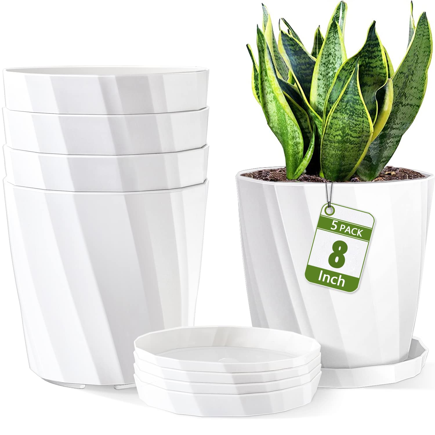 NGTTXTX front view pot with saucer showing clean design and neat drainage