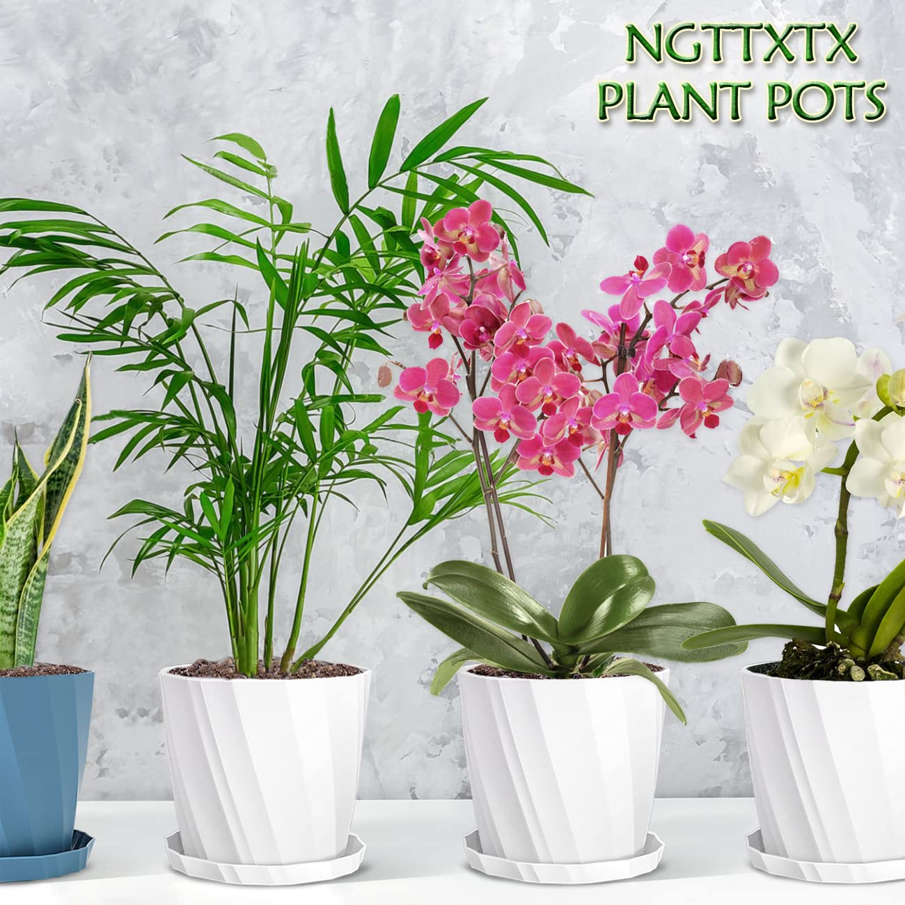 NGTTXTX pot beside water bottle for scale to show true 8 inch size