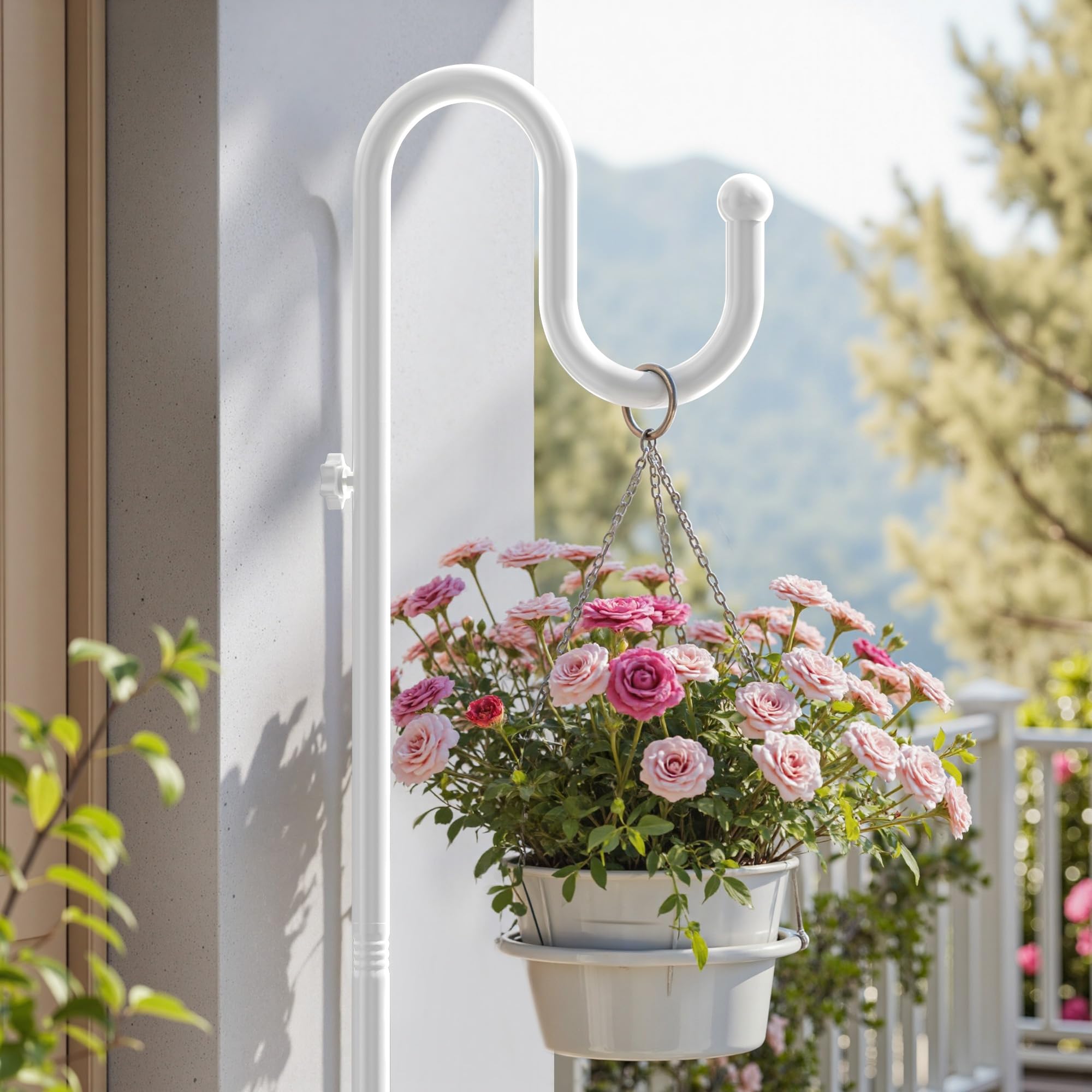 niffgaff with hanging plant lifestyle showing decorative garden appeal