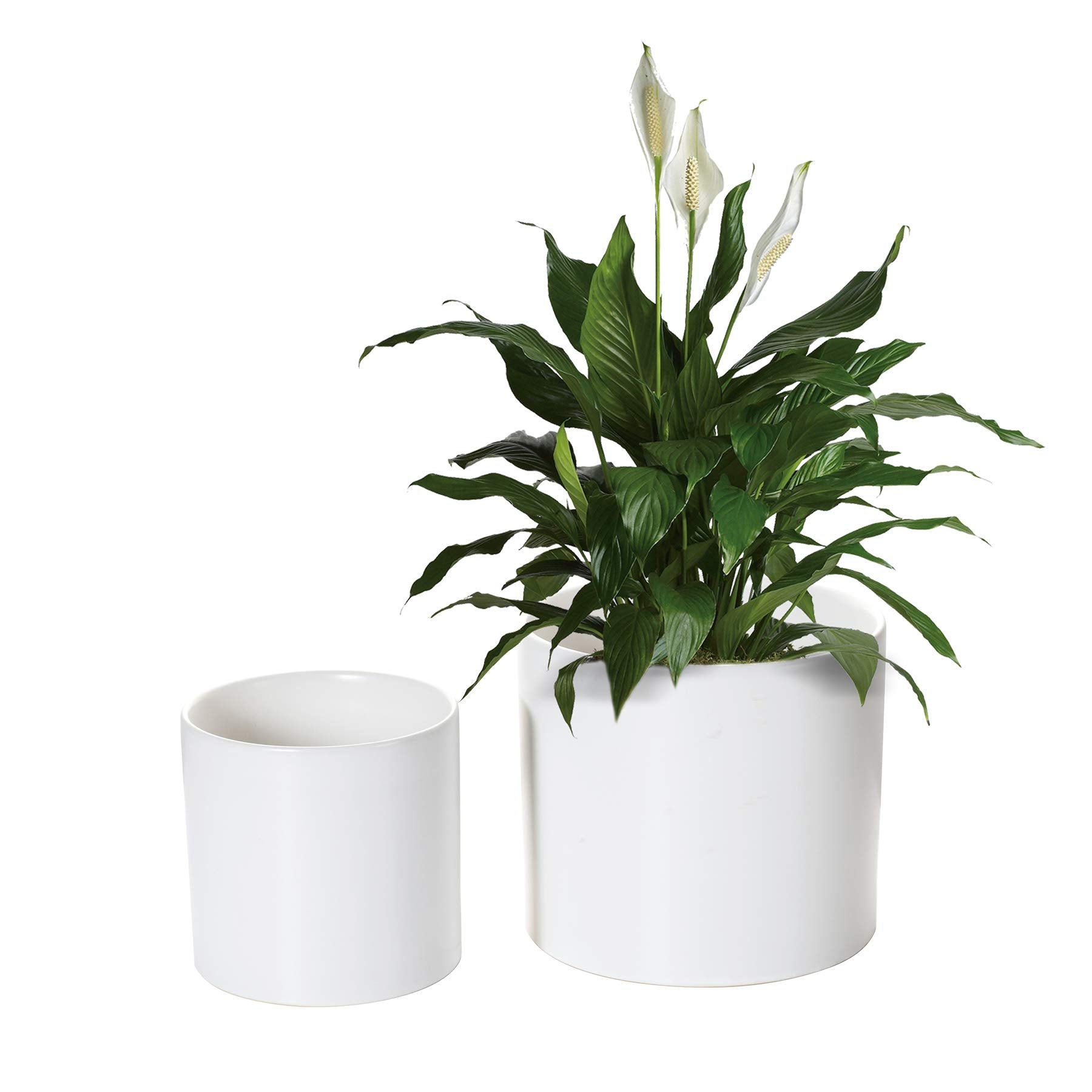 Nihow 7-inch white ceramic planter front view shows clean lines and durability