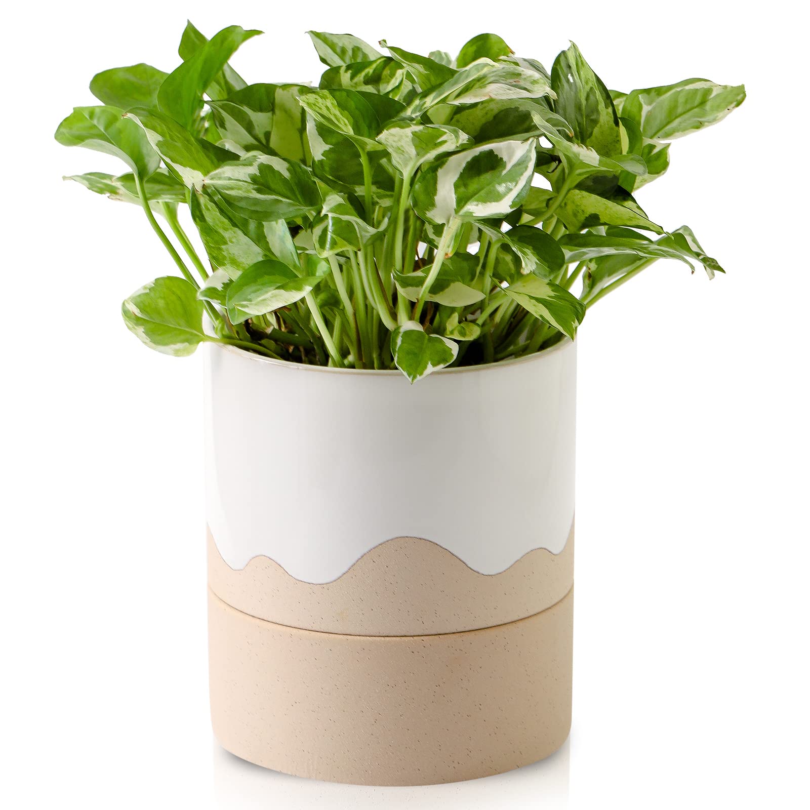 Nihow front view of cream white ceramic planter showing modern style benefit
