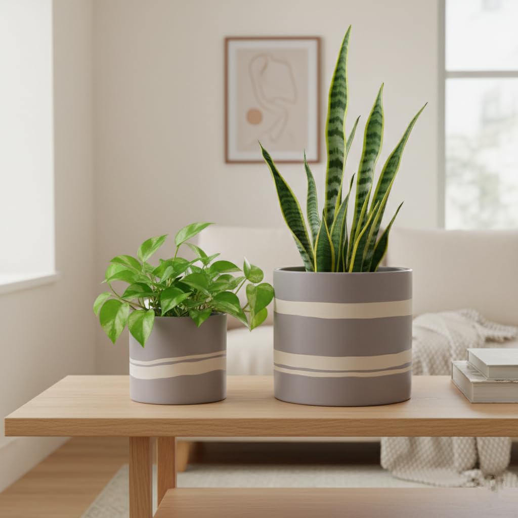 Nihow large planter with herb showcasing kitchen countertop use