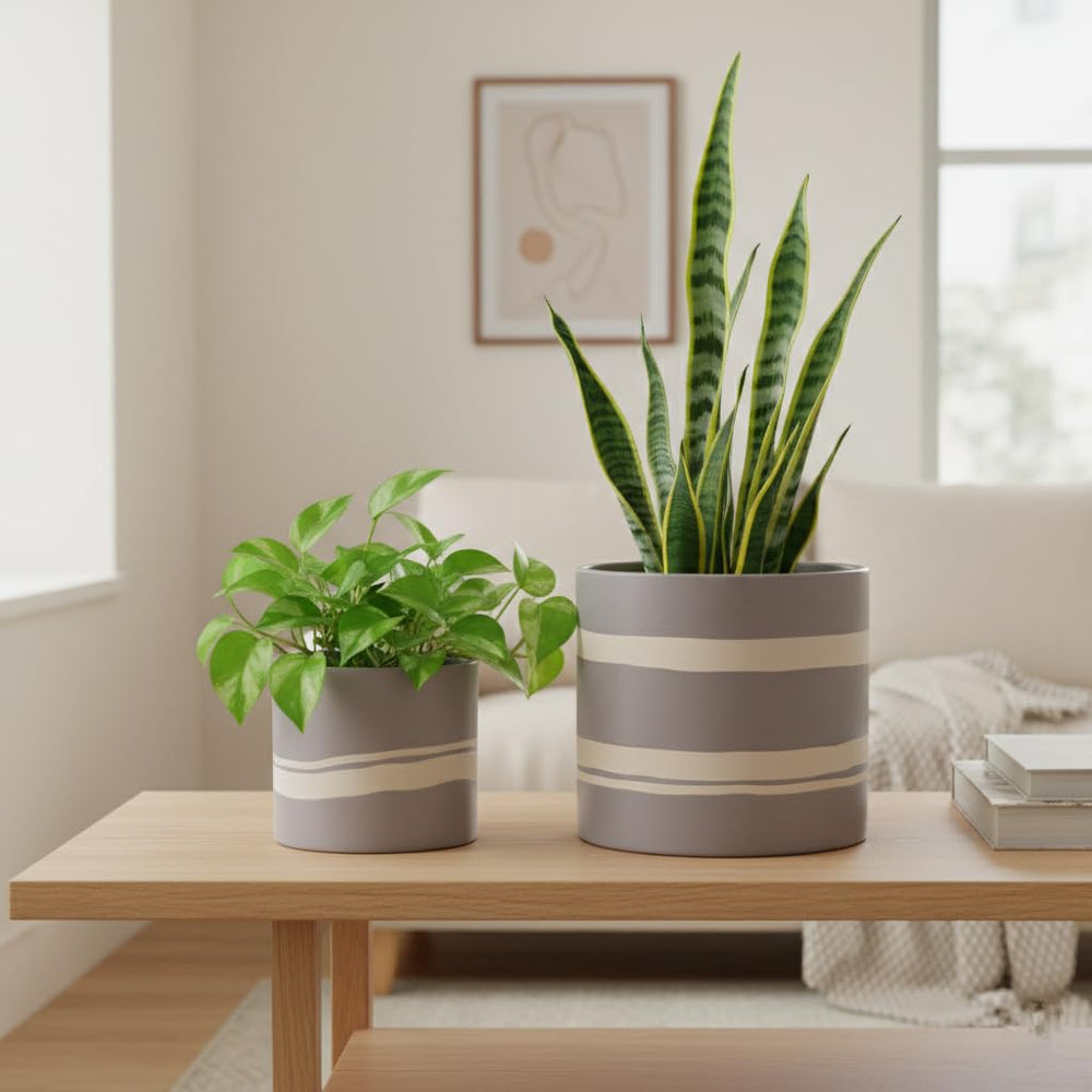 Nihow large planter with herb showcasing kitchen countertop use