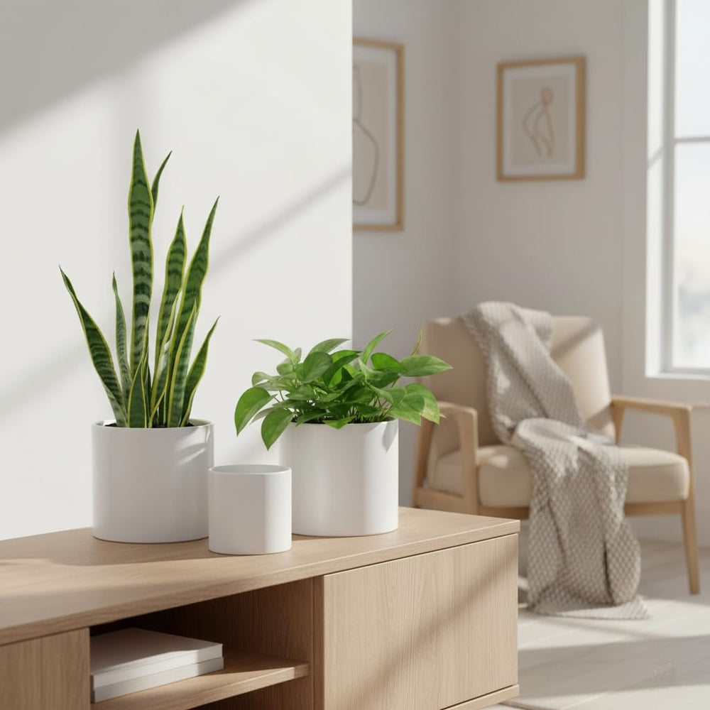Nihow planters styled in living room showing decorative modern home appeal