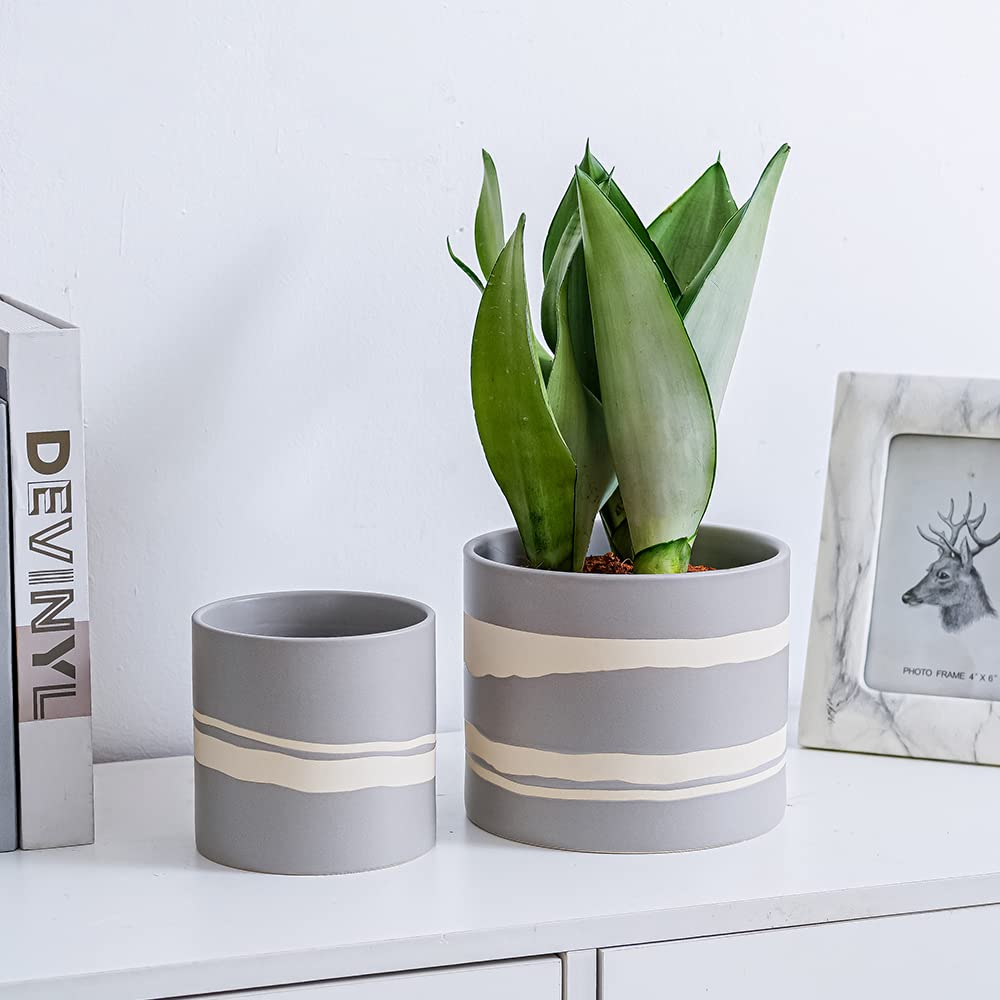 Nihow lifestyle shelf display adding stylish greenery to a living room