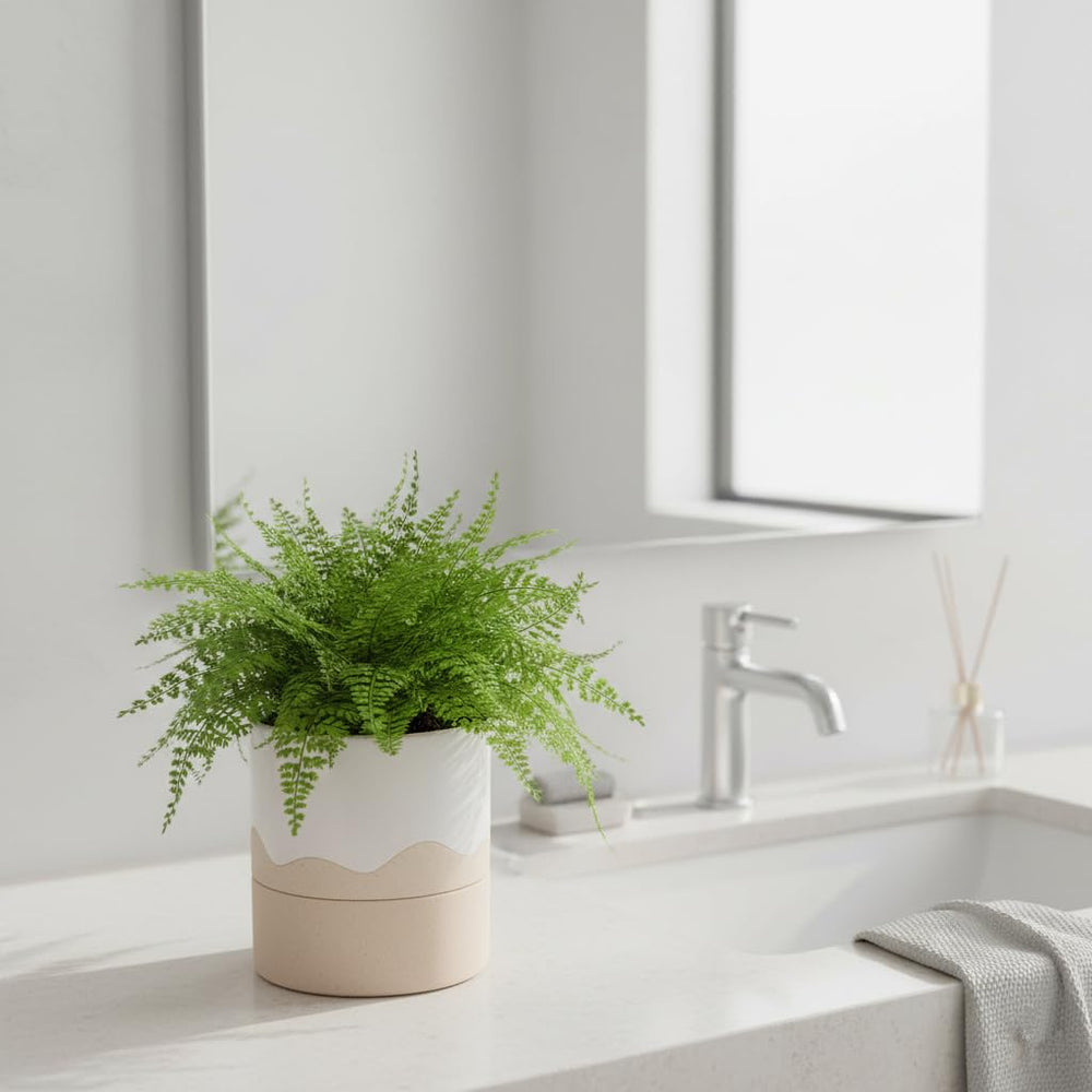 Nihow planter on a patio demonstrating sheltered outdoor versatility benefit