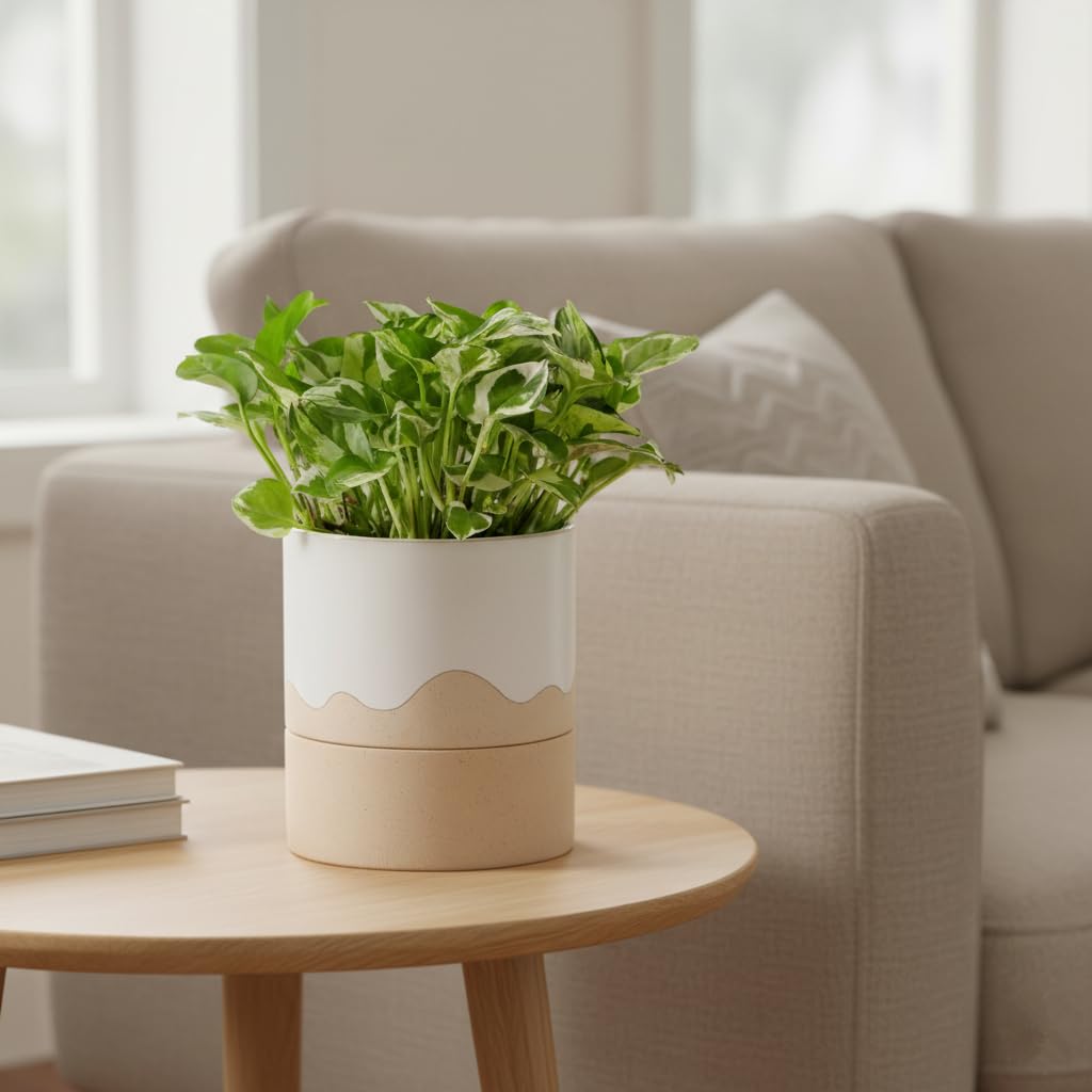 Nihow planter on shelf with houseplant showing decorative indoor appeal