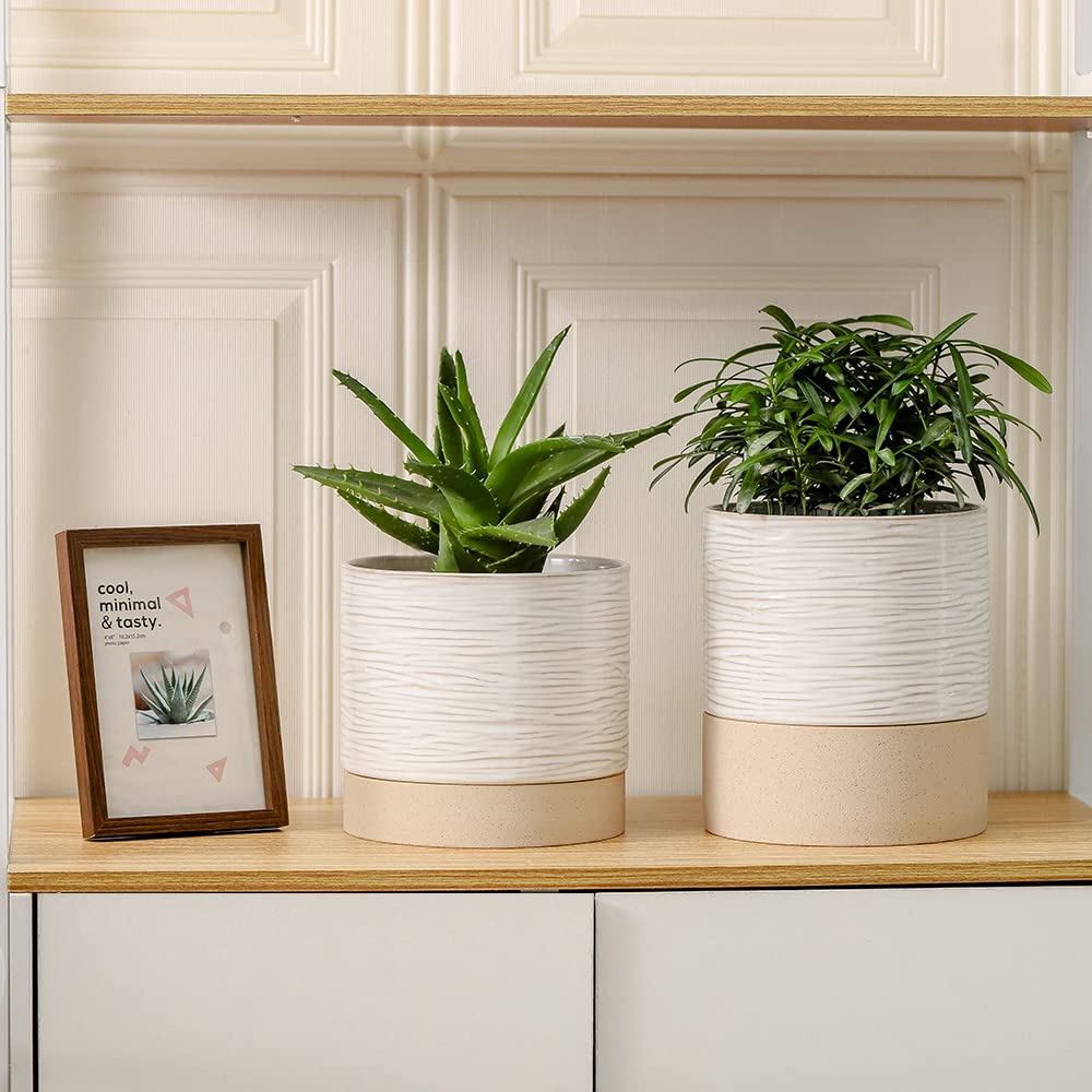 Nihow planter on windowsill lifestyle shot showing attractive indoor greenery benefit