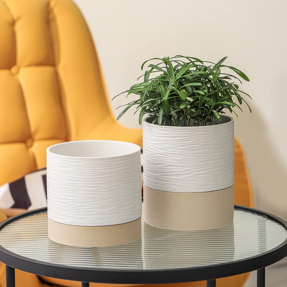 Nihow pot next to ruler showing 6-inch scale for correct plant sizing