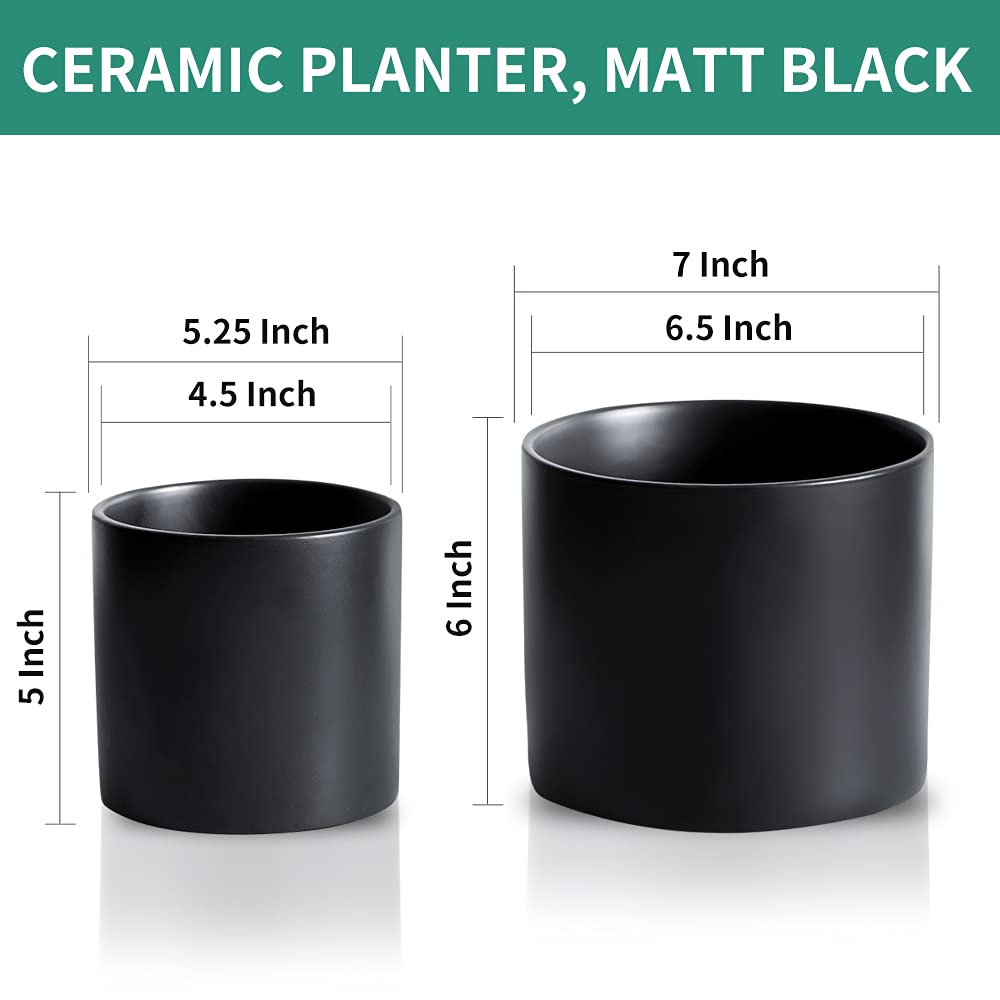 Nihow side profile cylinder pot highlighting slim silhouette and stability