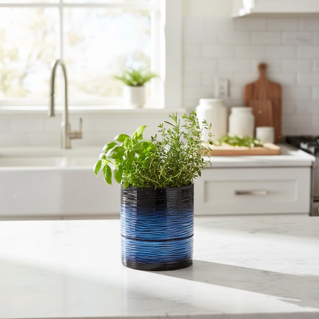 Nihow planter held in hand showing 6-inch scale for space planning