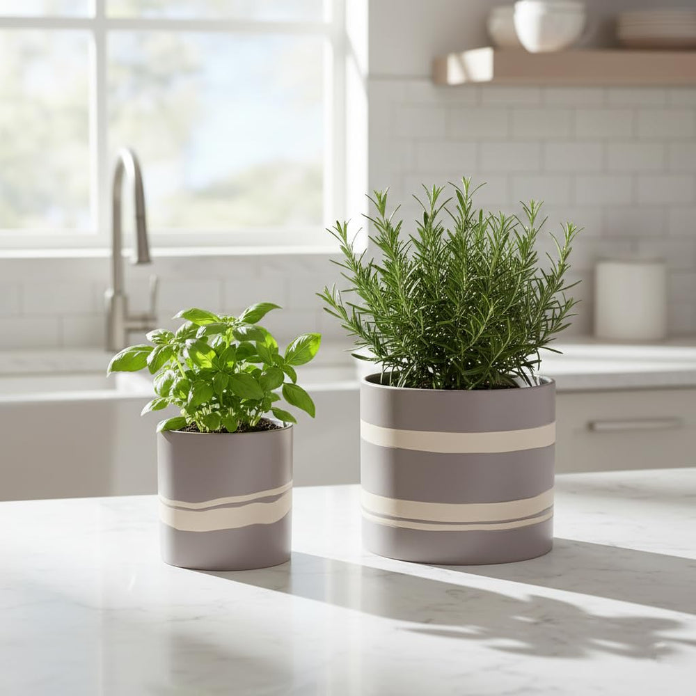 Nihow size comparison next to coin illustrating compact planter dimensions