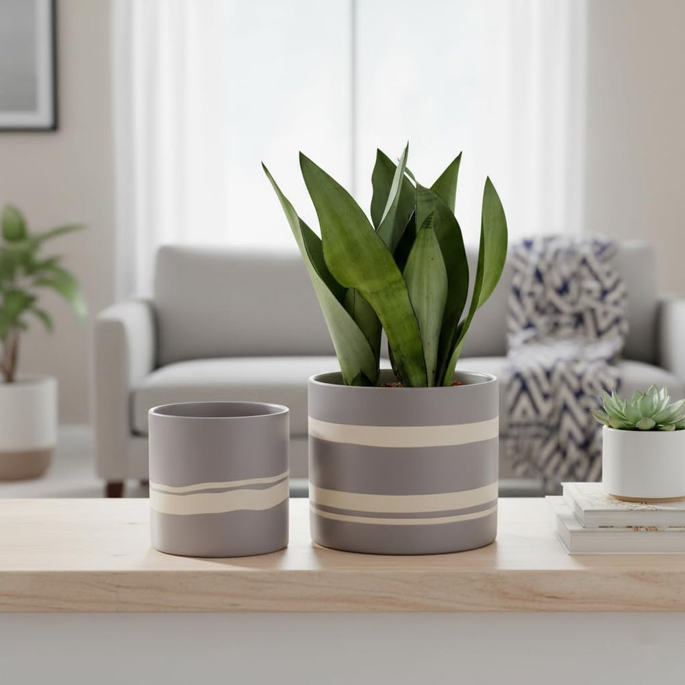 Nihow small planter with succulent demonstrating perfect desktop fit