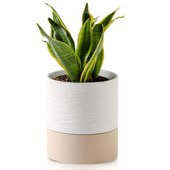 Nihow front view of white ceramic pot showing clean modern design and easy styling
