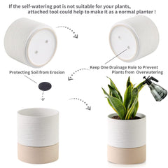 Nihow view of cotton wick and dual drainage holes for controlled self-watering