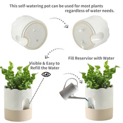 Nihow cotton wick detail demonstrating self-watering action for consistent moisture benefit
