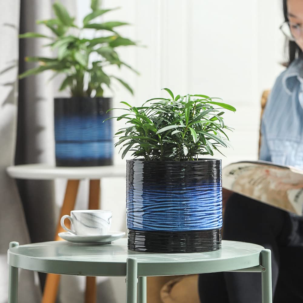 Nihow planter with kitchen herbs showing convenient countertop growing