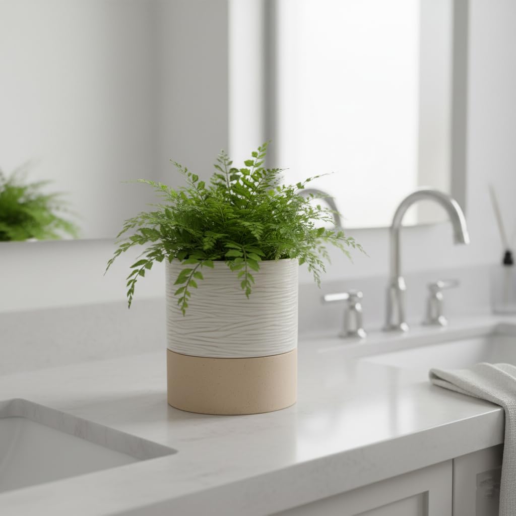 Nihow planter with succulent styled on table highlighting low-maintenance watering