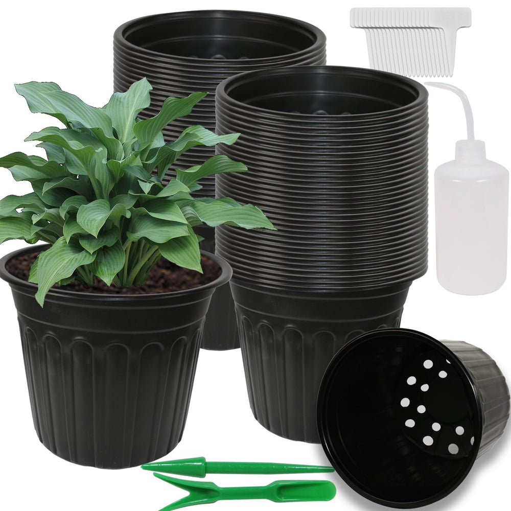Niiiice front view of 50-pack pots showing count and utility