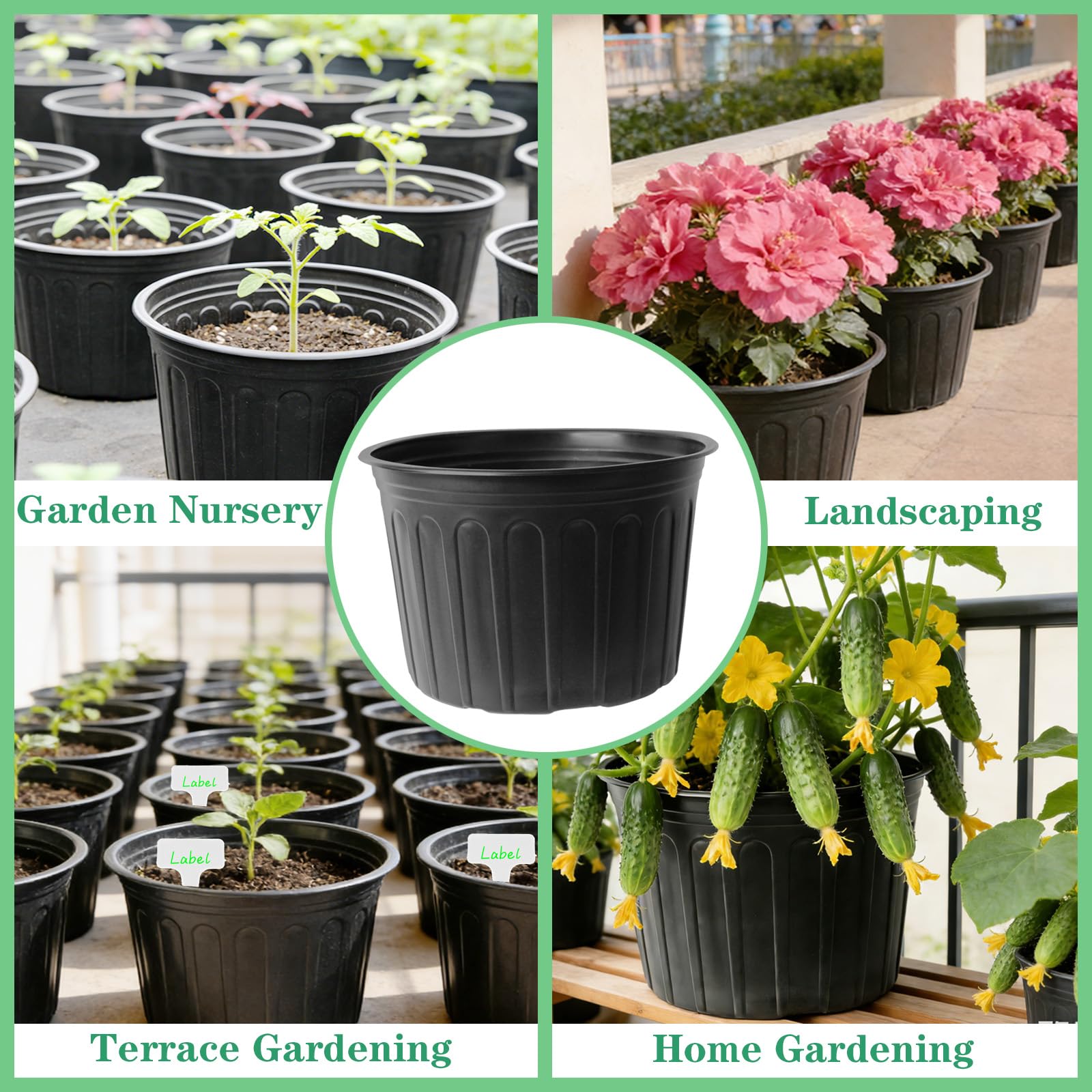 Niiiice pots in use with seedlings and tools speeding transplanting