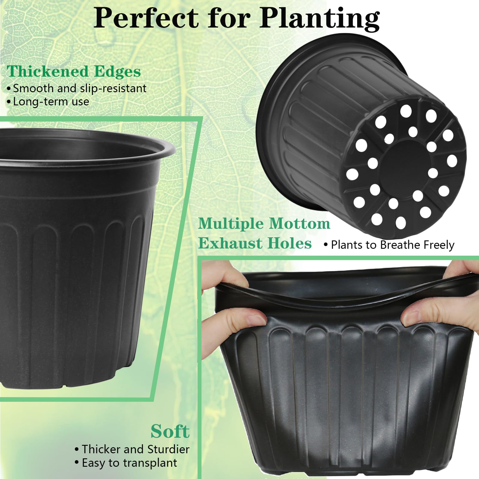 Niiiice pots in use with seedlings demonstrating healthy spacing