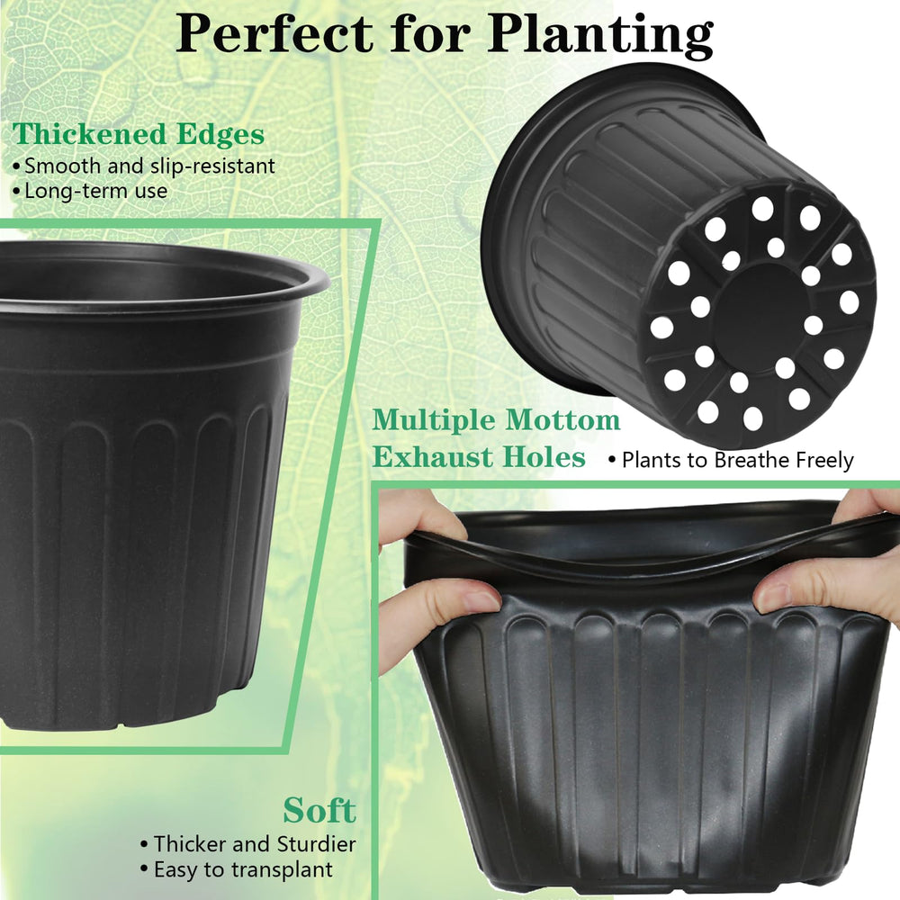 Niiiice pots in use with seedlings demonstrating healthy spacing